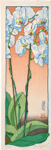 Paul Binnie Orchid - Morning 