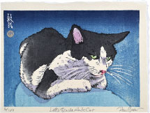 Paul Binnie Little Black & White Cat