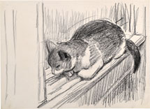 Kyohei Inukai Cat Resting on Window Sill 