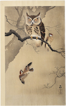 Ohara Koson Owl with Sparrows